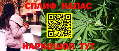 гидра Кандалакша