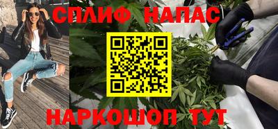 гидра Кандалакша