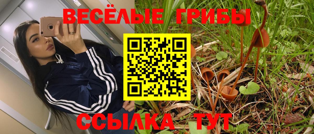 Озёры  где найти наркотики  Вход с VPN  Псилоцибиновые грибы Cubensis 